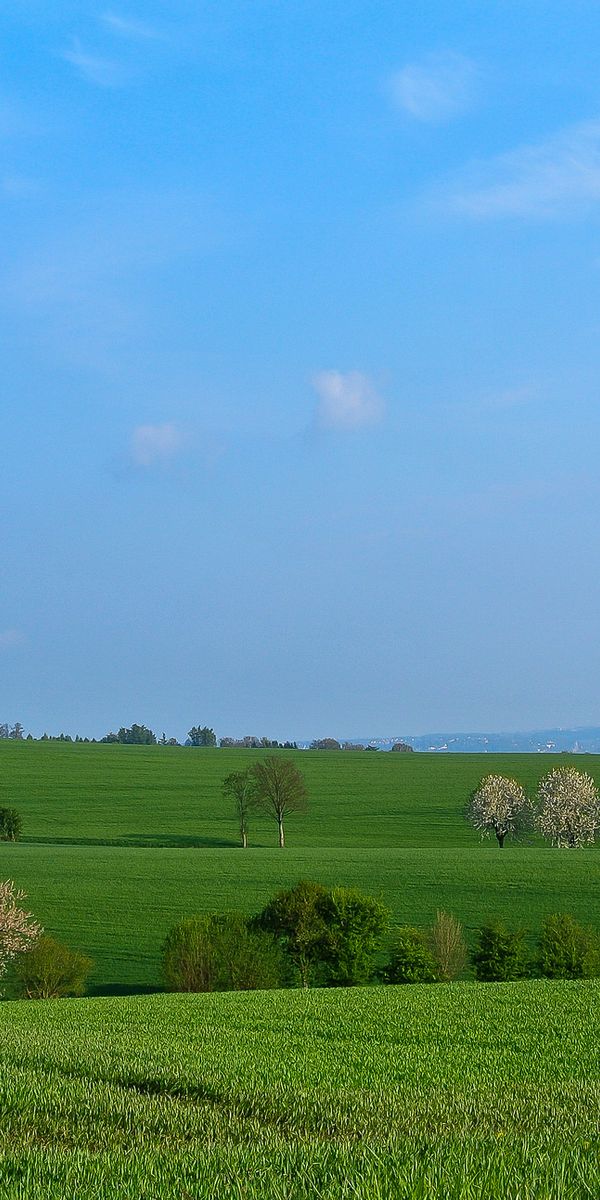 Phone wallpaper: Nature, Field, Grass, Hills free download