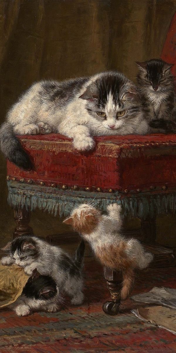 Adorable phone wallpaper of playful kittens in a cozy setting