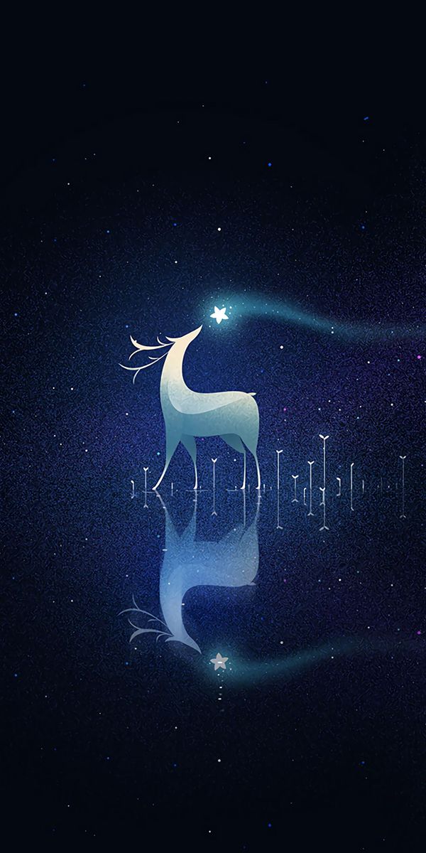 Beautiful Deer Reflection in a Starry Sky