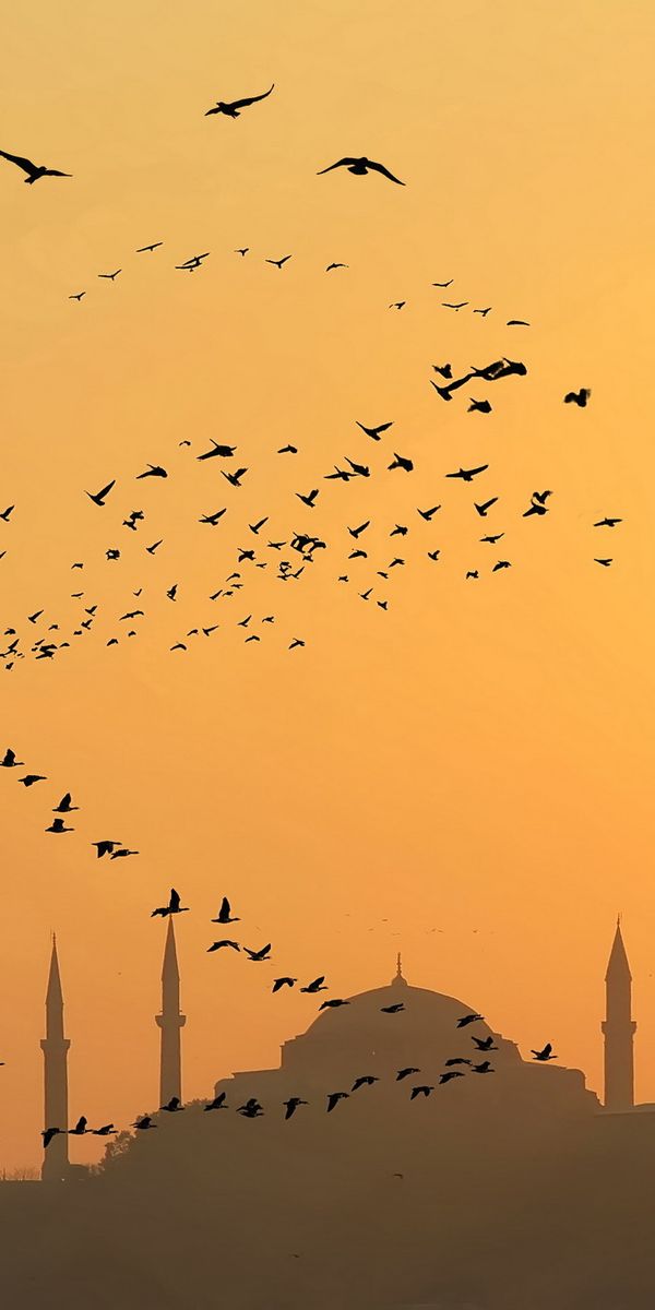 Phone wallpaper: Istanbul, Cities, Man Made free download