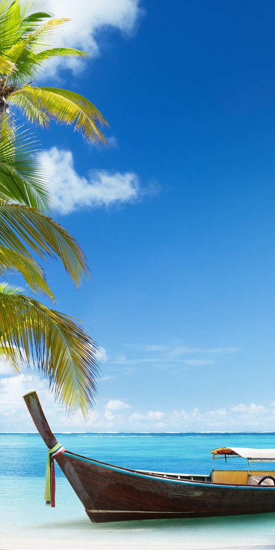 Tranquil beach landscape featuring boats, palms, and a vibrant blue sky