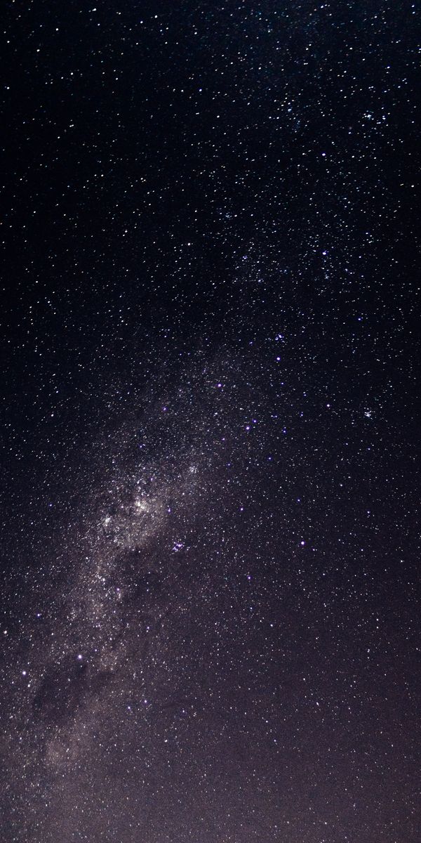 Breathtaking Milky Way in a Starry Night Sky