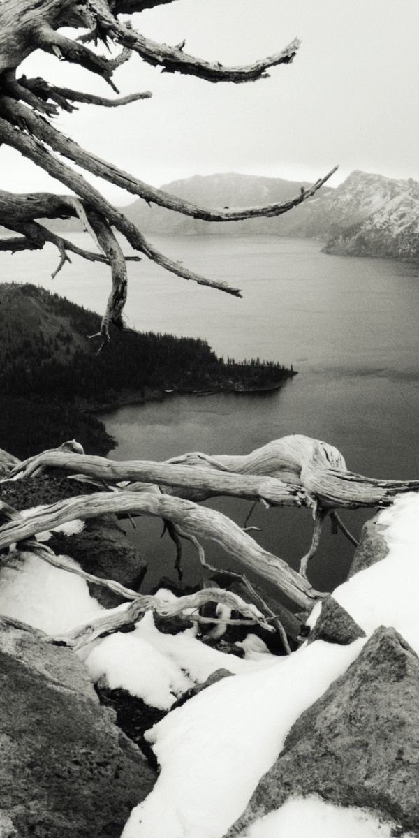 Black & White Winter Mountain Landscape Wallpaper
