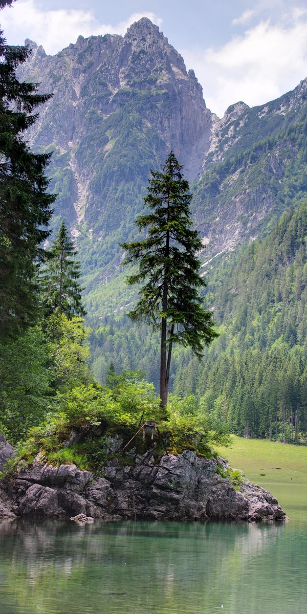 Breathtaking Mountain Lake Surrounded by Lush Forests