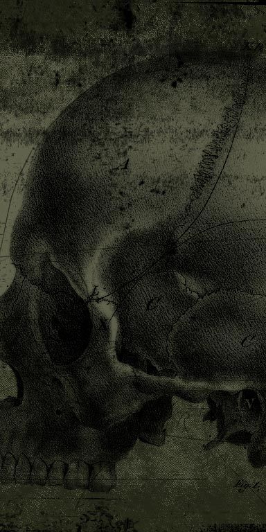 Dark Skull Phone Wallpaper