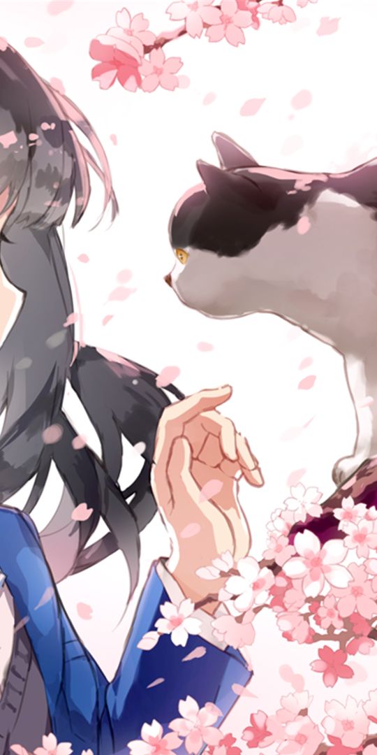 Charming anime wallpaper featuring a girl, cat, and cherry blossoms
