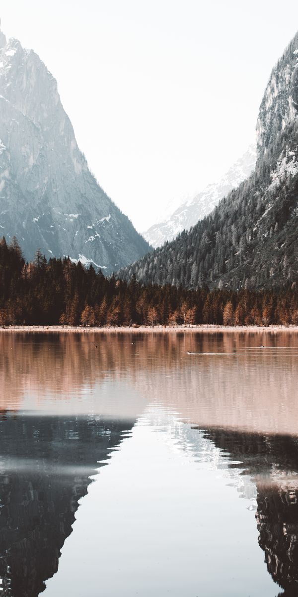 Phone wallpaper: Bank, Shore, Lake, Forest, Nature, Mountains, Landscape free download