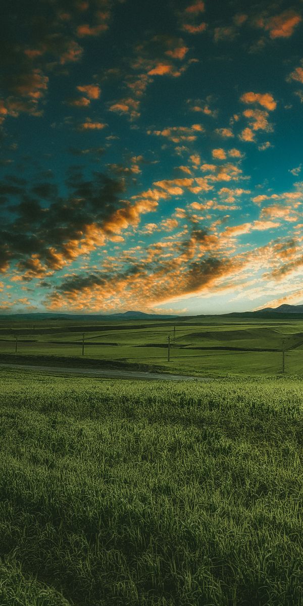 Breathtaking Green Field and Vibrant Sky Wallpaper