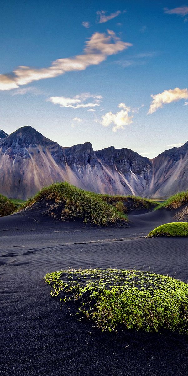 Majestic Desert Landscape with Mountains and Greenery