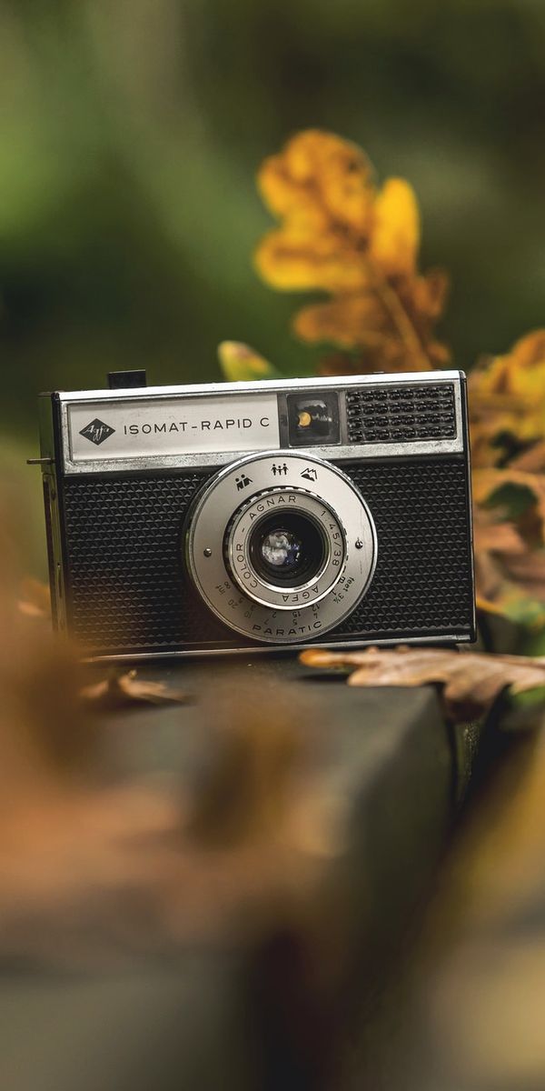 Vintage Camera on a Bench with Autumn Leaves