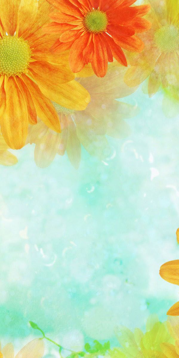 Bright and Cheerful Floral Mobile Wallpaper - High-Quality Design for Your Device