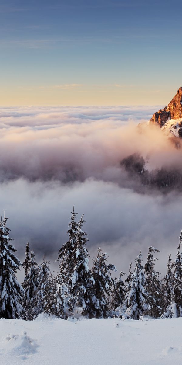 Breathtaking Snow-Capped Mountain Peak in a Sea of Clouds at Sunset