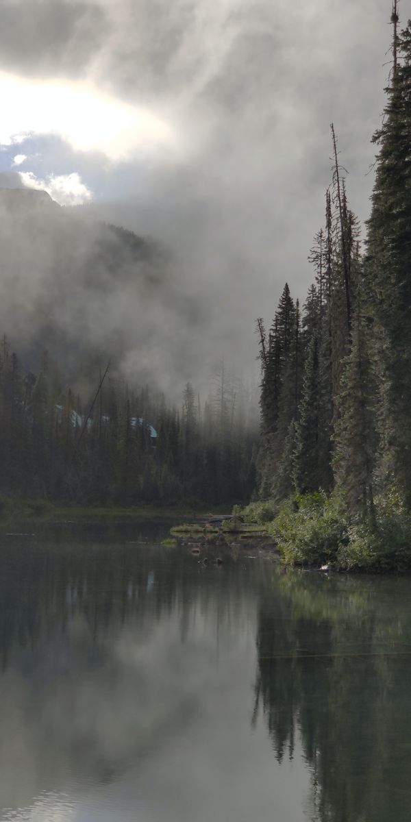 Enchanting phone wallpaper featuring a foggy forest and tranquil river