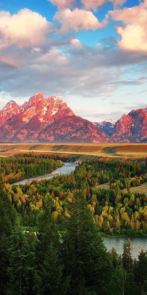 Phone wallpaper: The Teton Range, Wyoming, Grand Teton National Park, Wood, River, Mountains, Forest