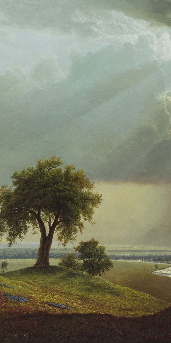 Phone wallpaper: Tree, Sky, Field, Wood, Art, Grass free download