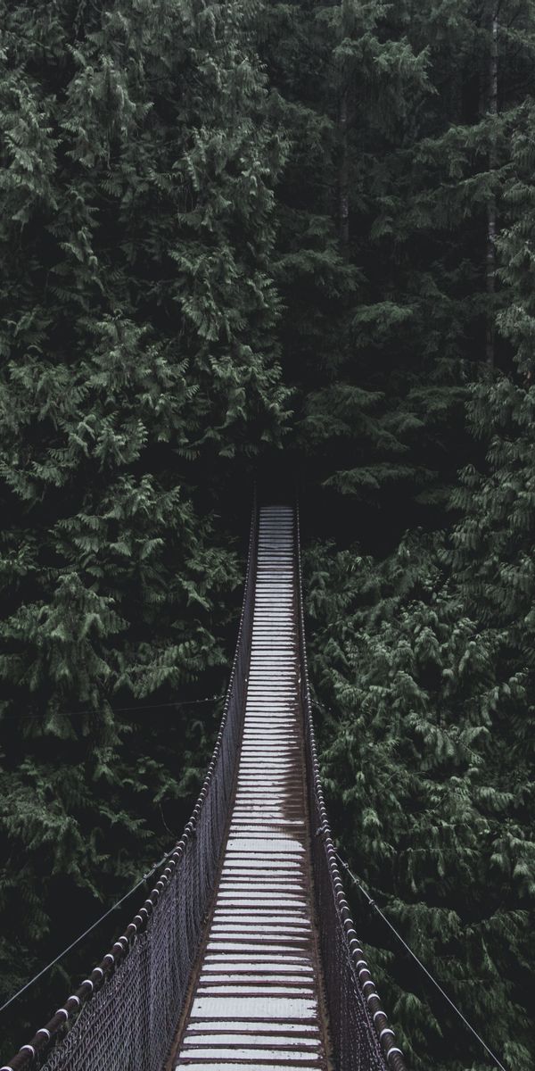 Phone wallpaper: Suspension, Hanging, Trees, Bridge, Nature free download