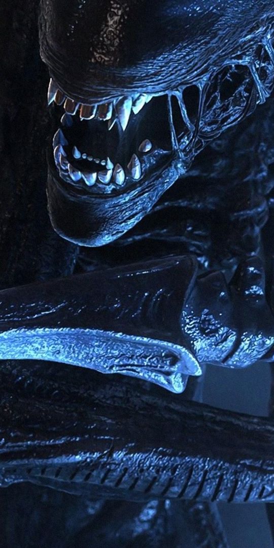 Xenomorph Alien Wallpaper - Dark and Captivating Design