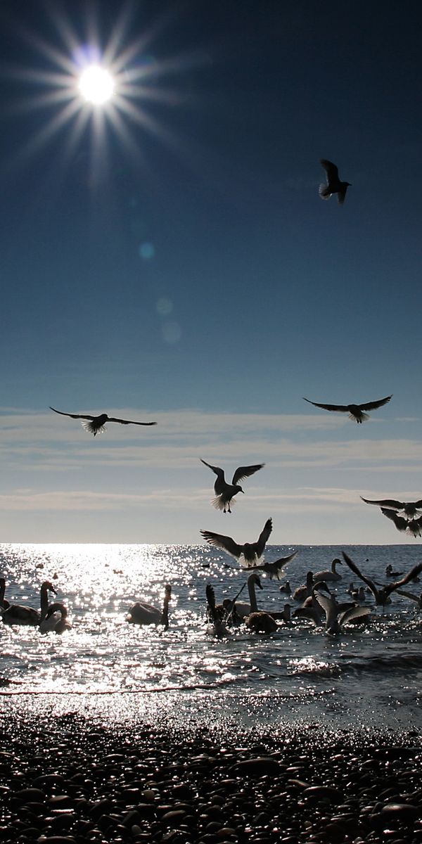 Breathtaking Sunset Beach Scene with Birds Gliding Over Water