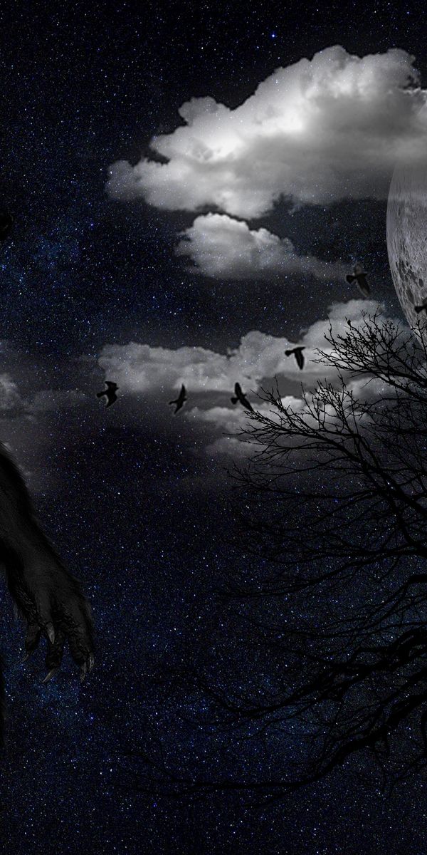 Werewolf in a Starry Sky Under the Full Moon
