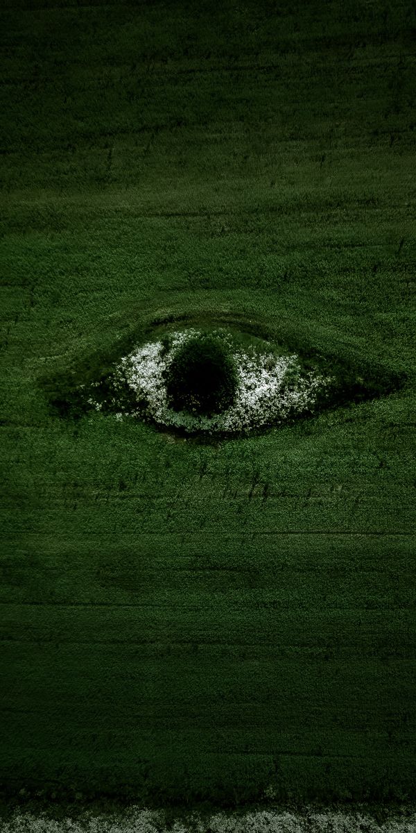 Phone wallpaper: Field, View From Above, Trees, Flowers, Nature, Eye free download