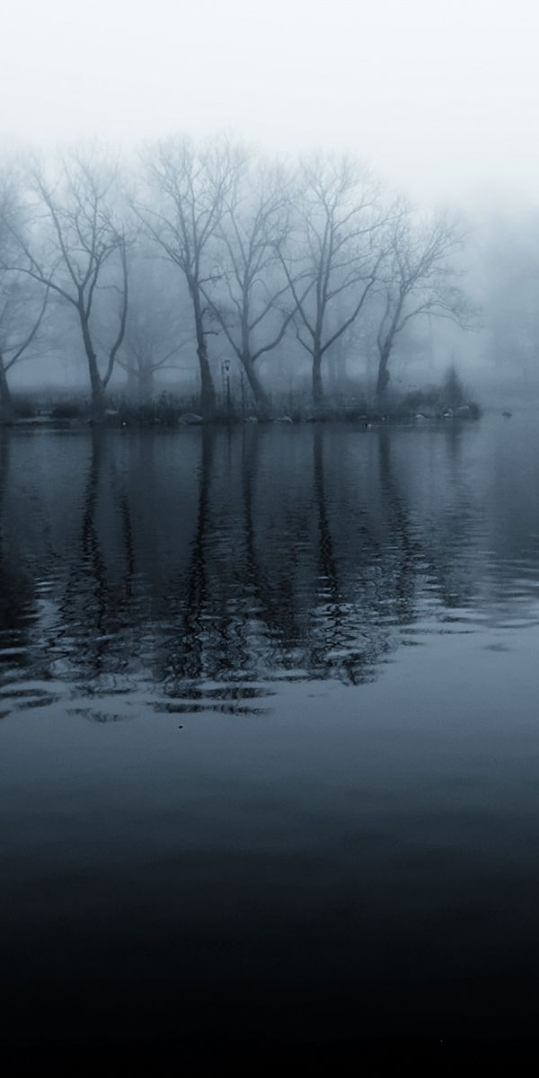 Serene 4K iPhone Wallpaper: Misty Lake with Trees and Reflection