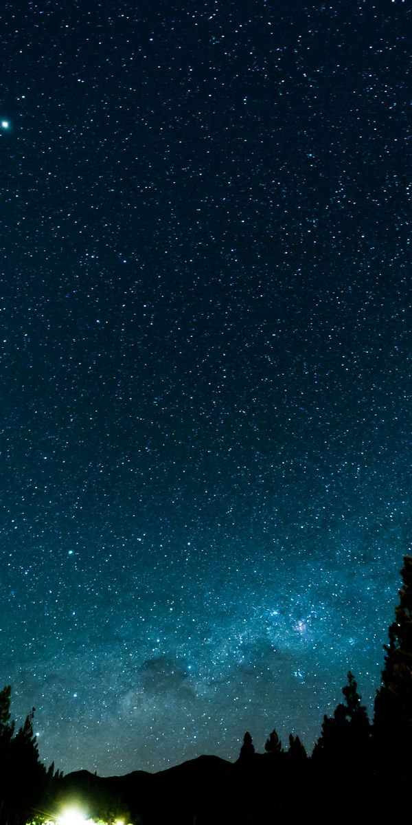 Breathtaking Starry Night Sky Above a Dark Forest