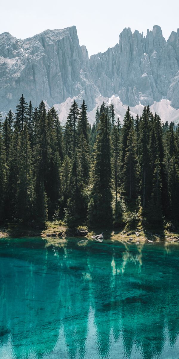 Phone wallpaper: Trees, Reflection, Lake, Mountains, Landscape, Nature free download