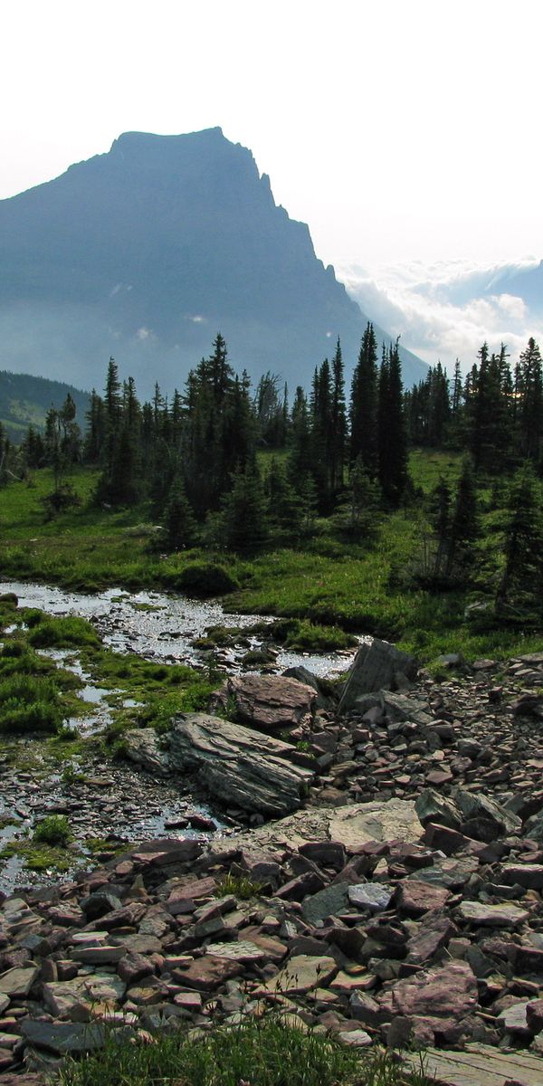 Phone wallpaper: Stream, Mountains, Forest, Mountain, Earth free download