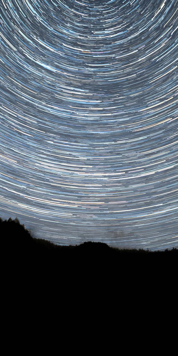 Phone wallpaper: Rotation, Long Exposure, Trees, Stars, Night, Silhouette, Dark free download