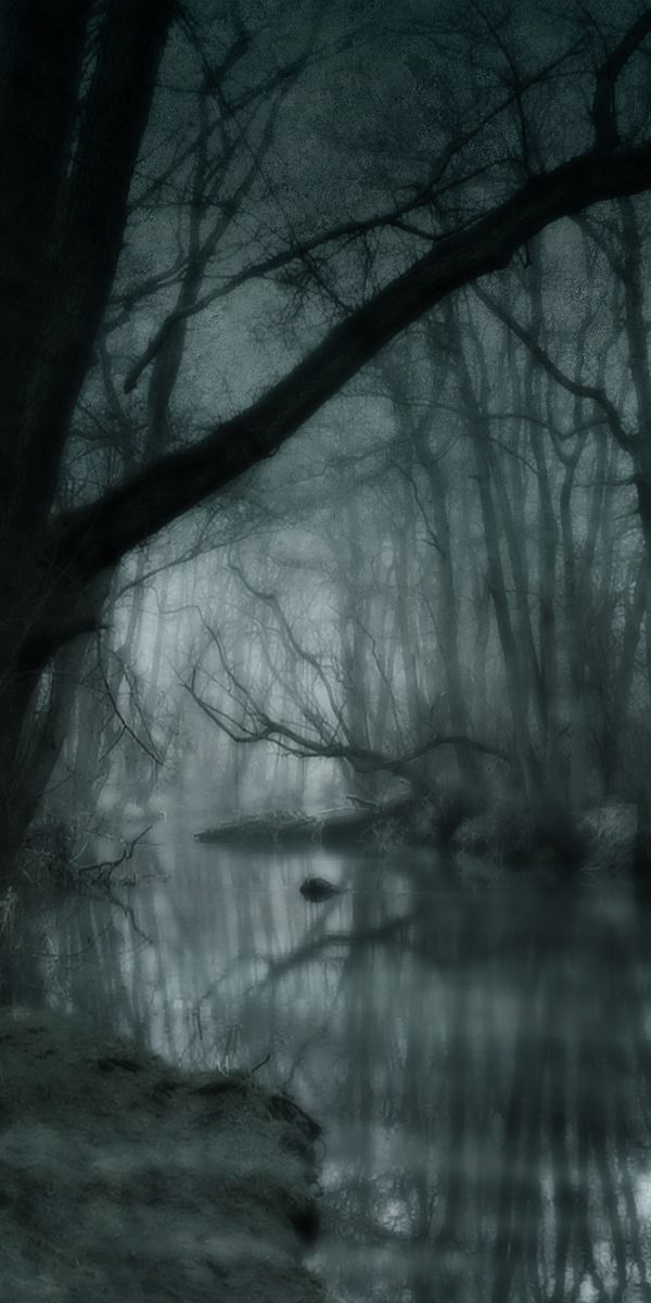 Dark Artistic Swamp Nature Wallpaper for Your Phone