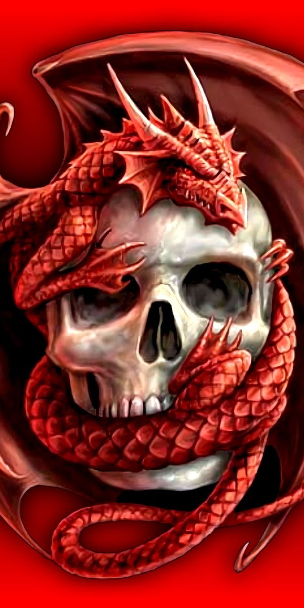 Red Dragon Wrapped Around Skull – Dark Fantasy Wallpaper