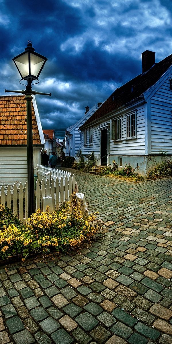 Charming Night Scene Featuring a Lamp Post and Cobblestone Pathway
