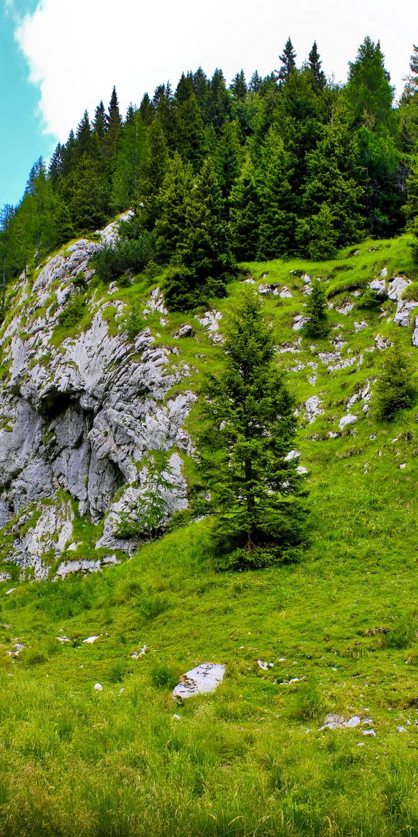 Breathtaking Mountain Landscape with Vibrant Green Forest and Blue Sky