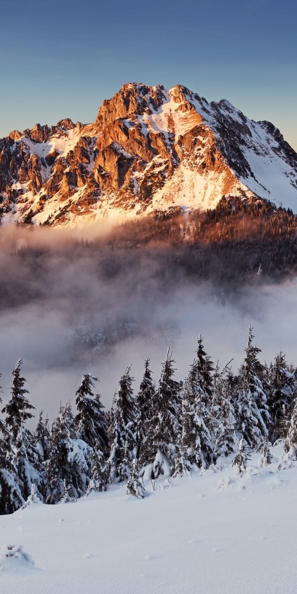 Phone wallpaper: Landscape, Winter, Nature, Snow, Mountain, Peak, Earth free download
