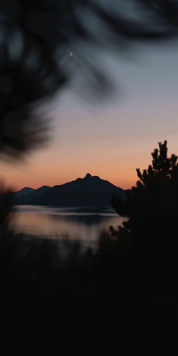 Breathtaking Sunset Mountain View with Smooth Branches