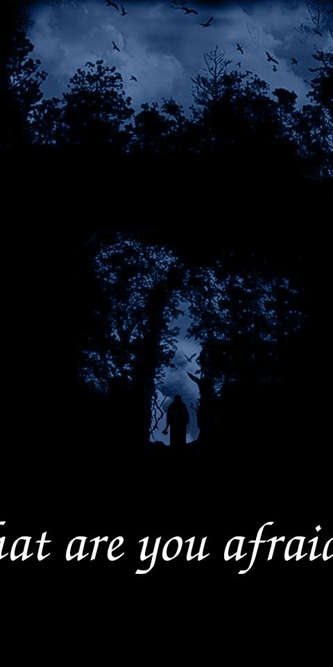 What Are You Afraid Of? Dark Forest Mobile Wallpaper