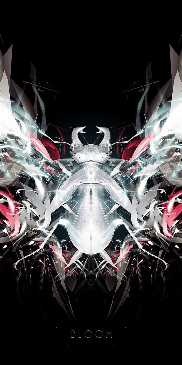 Abstract Dark Insect CGI Wallpaper