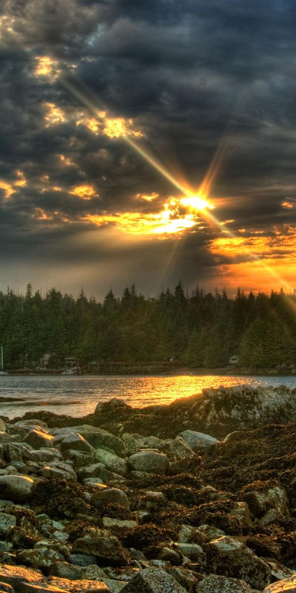 Breathtaking Sunset Over Water Surrounded by Forest