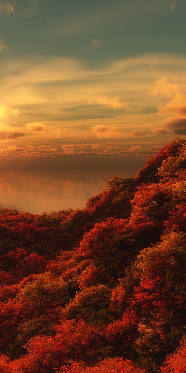Breathtaking autumn sunset wallpaper featuring earthy tones and vibrant foliage