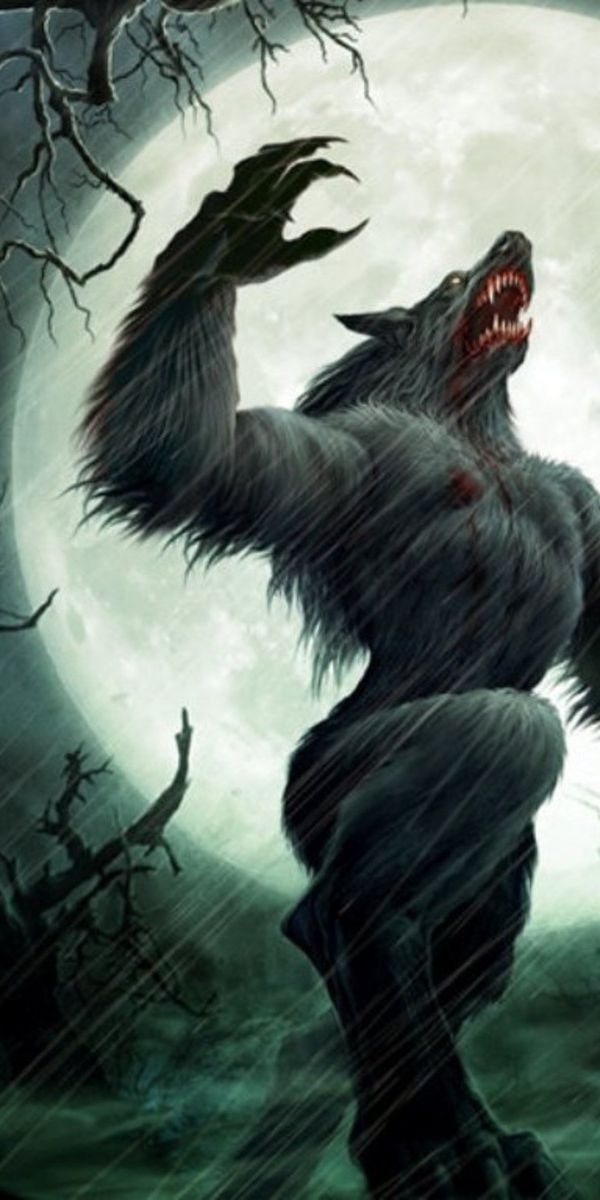 Epic Werewolf Under the Full Moon at Night
