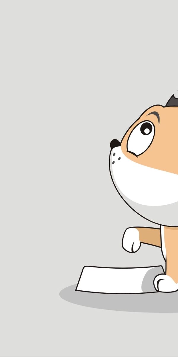 Phone wallpaper: Bowl, Nice, Sweetheart, Cat, Art free download