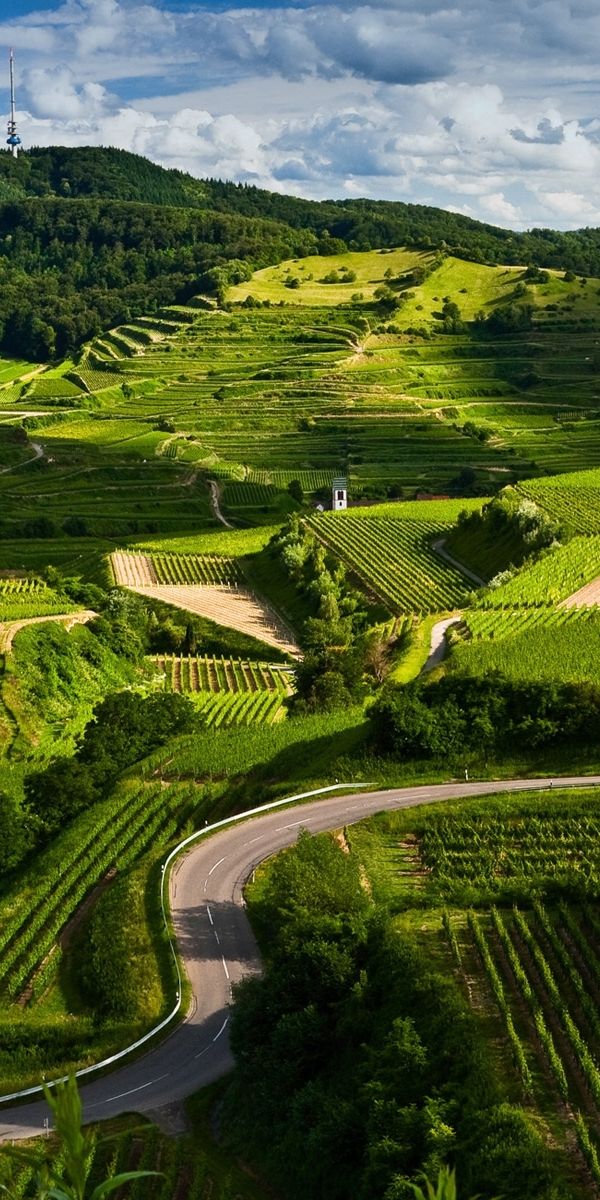 Breathtaking Green Landscape with Lush Fields and Hills