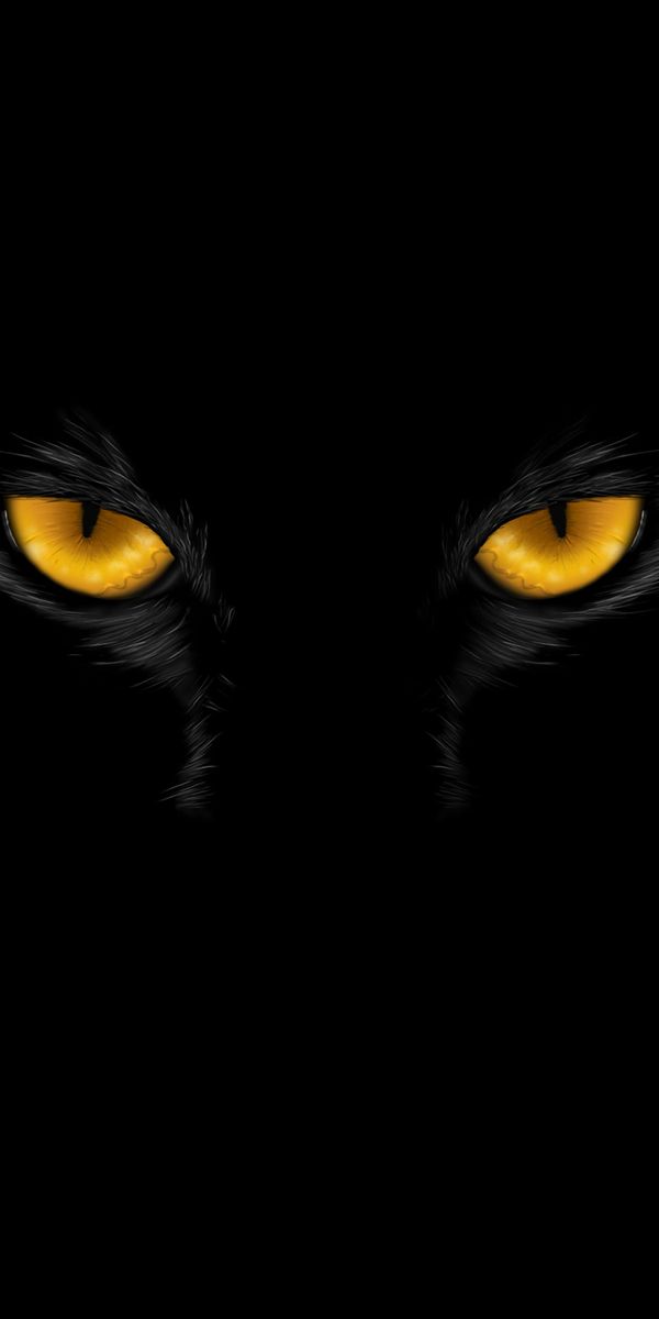 HD Black Cat Eyes Wallpaper for Mobile Devices
