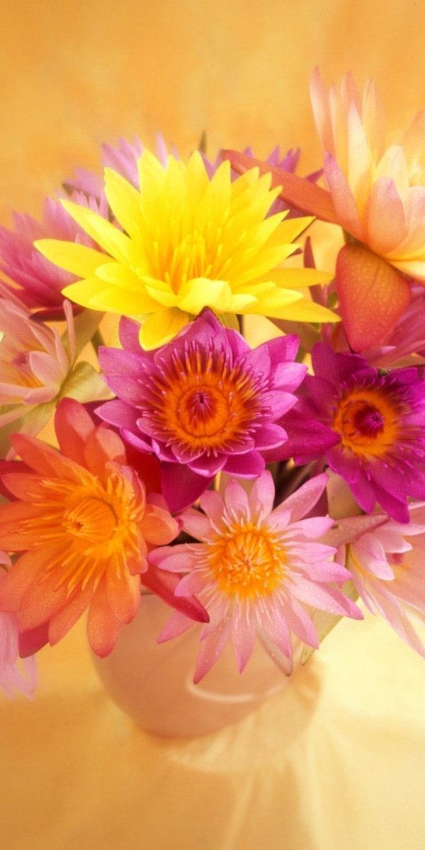 Phone wallpaper: Flowers, Plants free download
