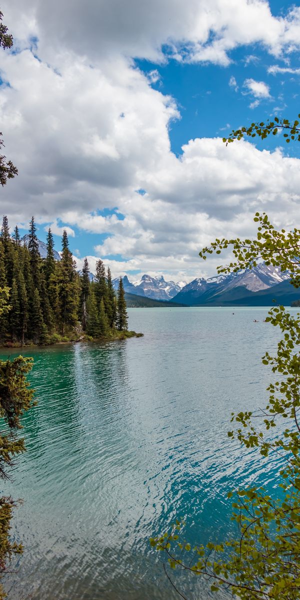 Breathtaking phone wallpaper featuring a tranquil lake, lush trees, and majestic mountains