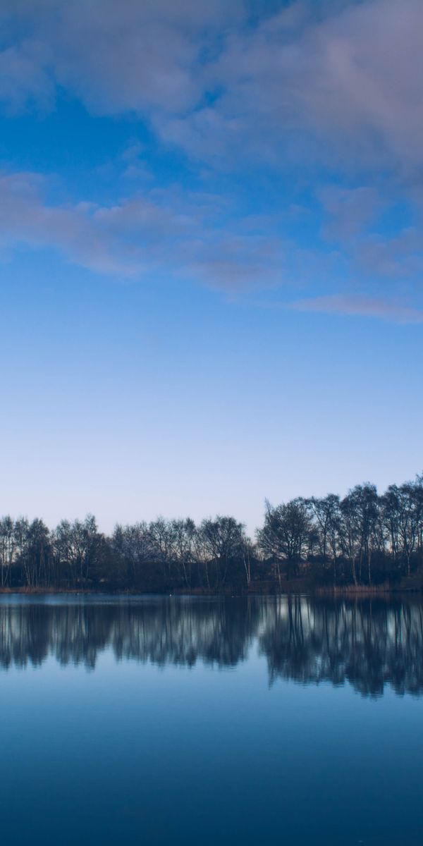 Phone wallpaper: Reflection, Rivers, Trees, Lake, Nature free download