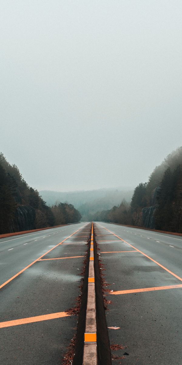 Phone wallpaper: Markup, Trees, Fog, Road, Lines, Nature free download