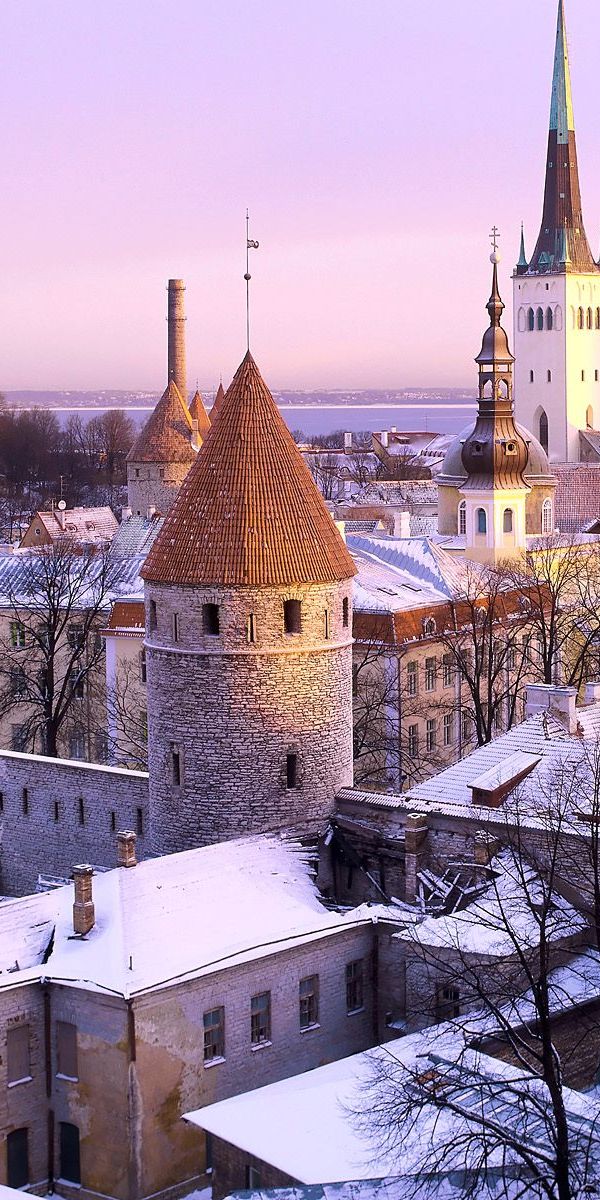 Winter Wonderland: Tallinn's Enchanting Cityscape