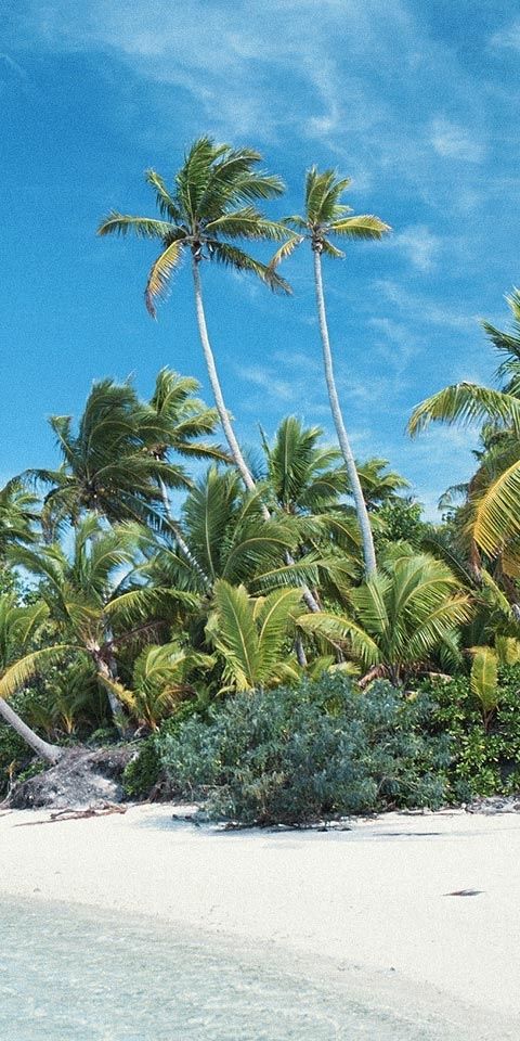Phone wallpaper: Landscape, Beach free download
