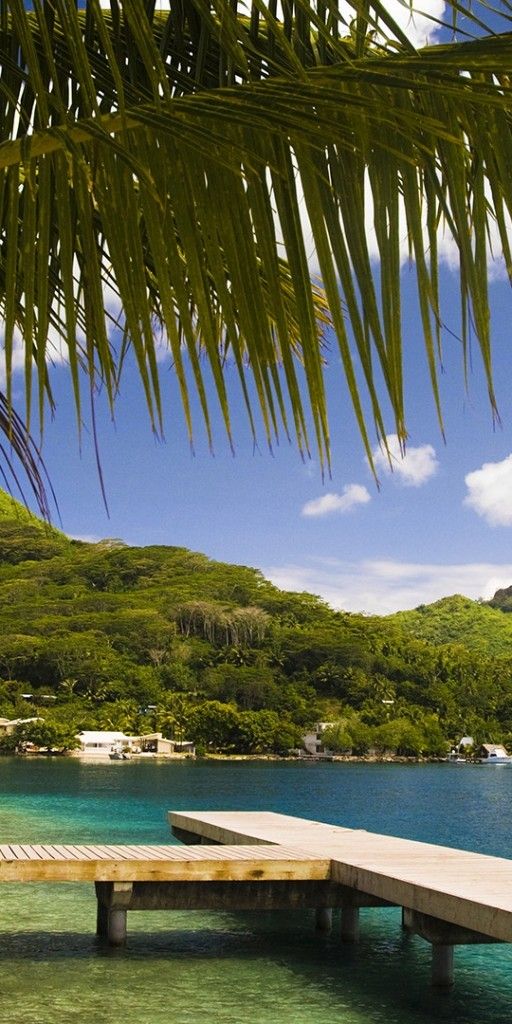 Phone wallpaper: Landscape, Mountains, Sea, Palms, Beach free download